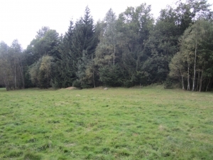 Prachatice Volovice, pozemky bývalého cvičiště
