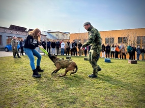 Program POKOS zpestřily v Královéhradeckém kraji ukázky výcviku služebních psů.