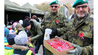 Ilustrační obrázek ke článkuVojenský fond solidarity opět pořádá sbírku ke Dni veteránů