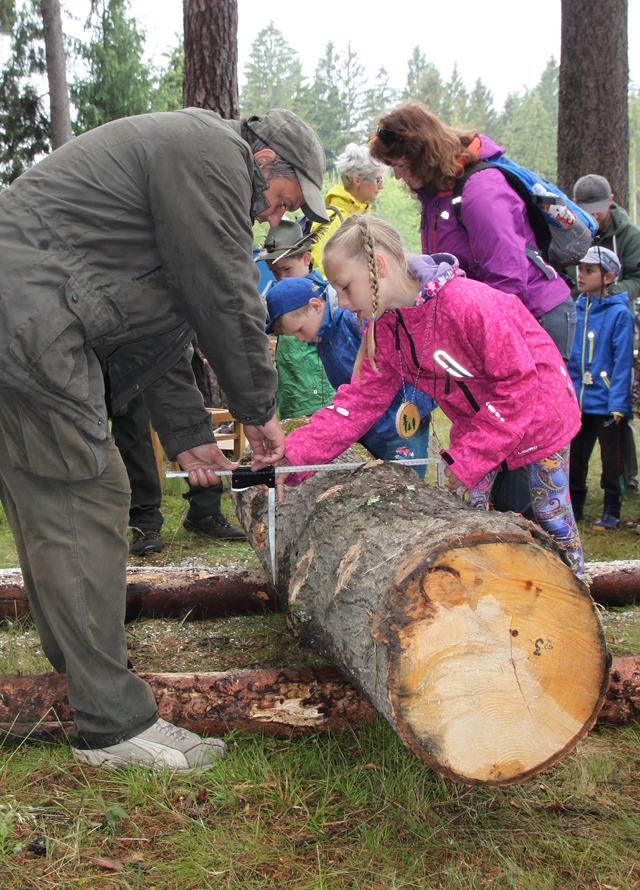 Lesnický den v Ralsku