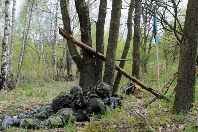 Tým bránící vlajku