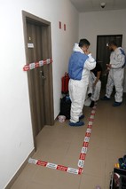 Tým Vojenské policie ČR