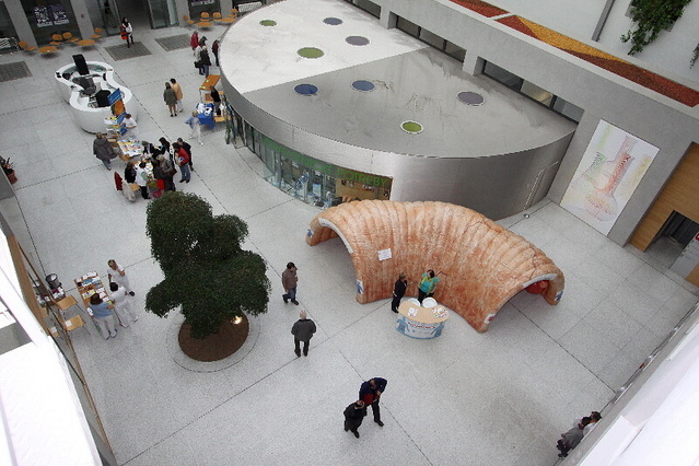 ÚVN - Den zdravé nemocnice 01