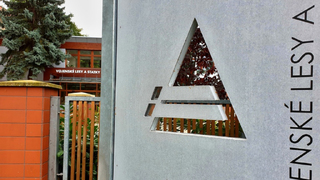 Ilustrační obrázek ke článkuVojenské lesy a statky budou mít od dubna nové vedení