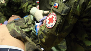 Ilustrační obrázek ke článkuArmáda podpoří jednotky IZS na hraničních přechodech