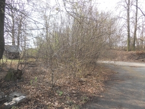 Vyškov, pozemky u letiště