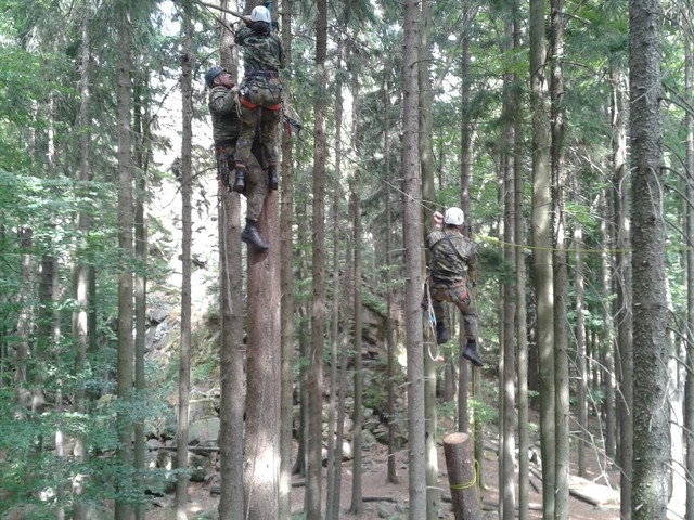 Vytvoření traverzu mezi stromy a spuštění zraněného