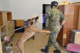 Zadržení pachatele při neuposlechnutí výzvy