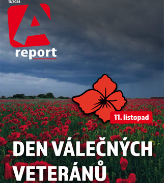 A report 11/2024