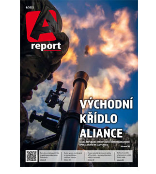 A report 6/2022