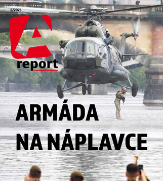 A report 6/2025