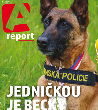 A report 8/2024