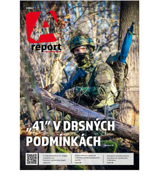A report 1/2022