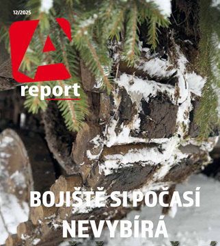 A report 12/2025